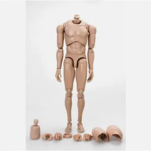 1:6 Scale Muscle Male Action Figure Asian Skin 12 Inch Flexible Male Figure Body Doll Miniature Figure Without Head Sculpt