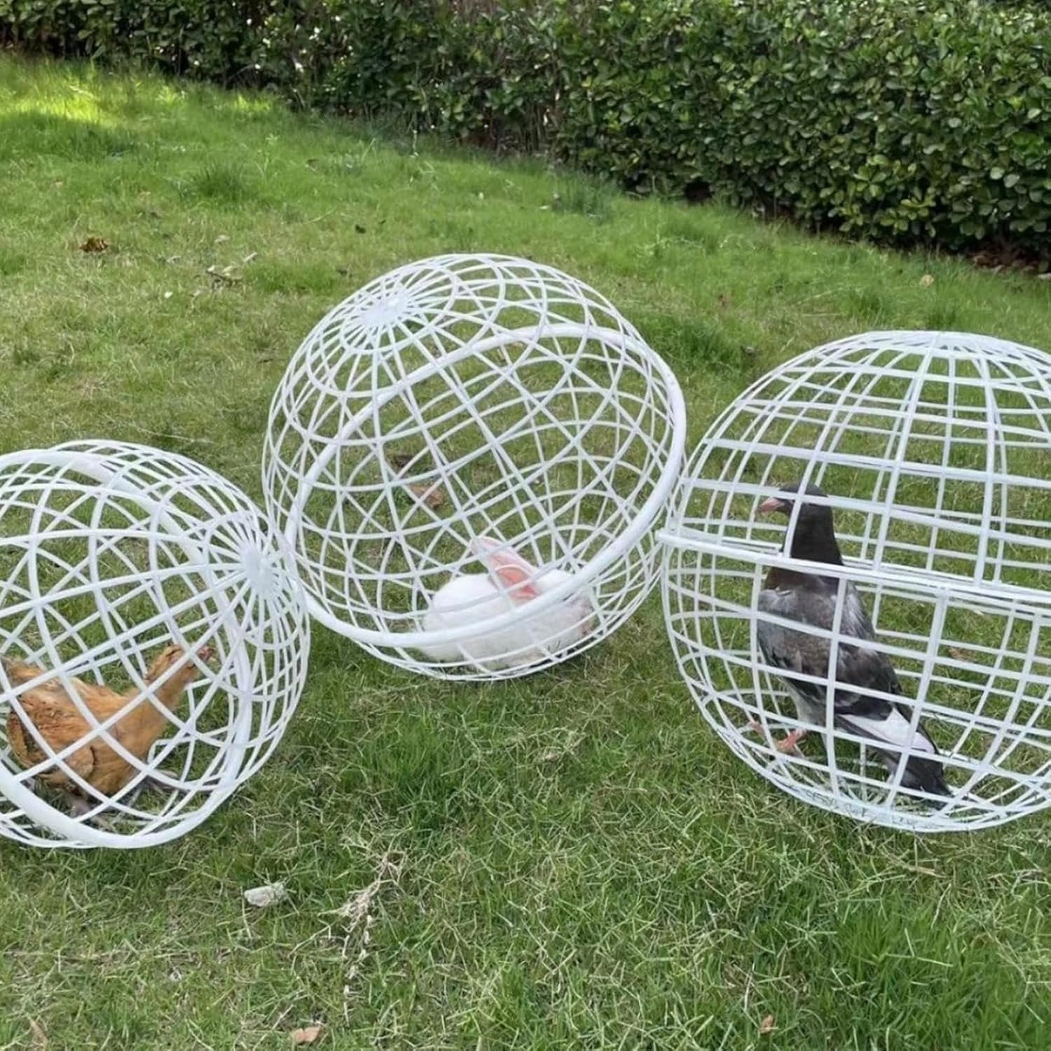 3Pack Ball-Shaped Movable Chicken Coop, Outdoor Rollable Round Chicken Cage, Pigeon Rabbits Duck Safe Walking Net, Chicken Safety Ball Cage for Pet Safety Outdoor Farm Use