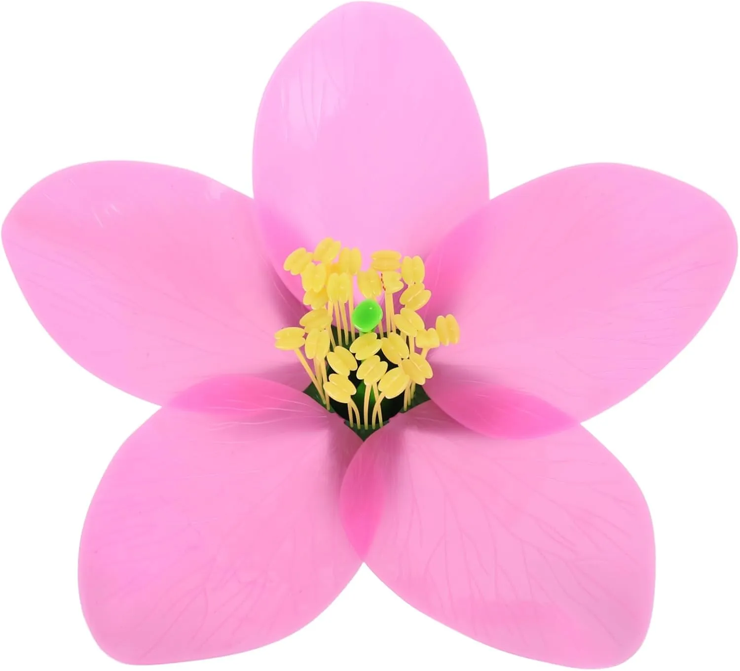 Artificial Model Biology Teaching Tool for Educational Projects Resource for Flower Anatomy and Reproduction Lightweight and Portable Instructional Model for Classrooms