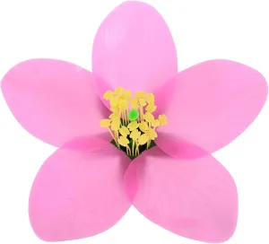 Artificial Model Biology Teaching Tool for Educational Projects Resource for Flower Anatomy and Reproduction Lightweight and Portable Instructional Model for Classrooms