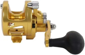 Avet SXJ 5.3 G2NGP RH-GD G2 Series SXJ 5.3 RH (Gold)