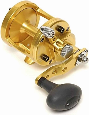 Avet MXL5.8G MX Single Speed Conv Reel, RH, 8BB, 5.8:1 (Gold)