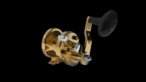 Avet Reels SXJ 5.3 G2NGP MC RH-GD G2 Series SXJ 5.3 MC, RH (Gold), One Size