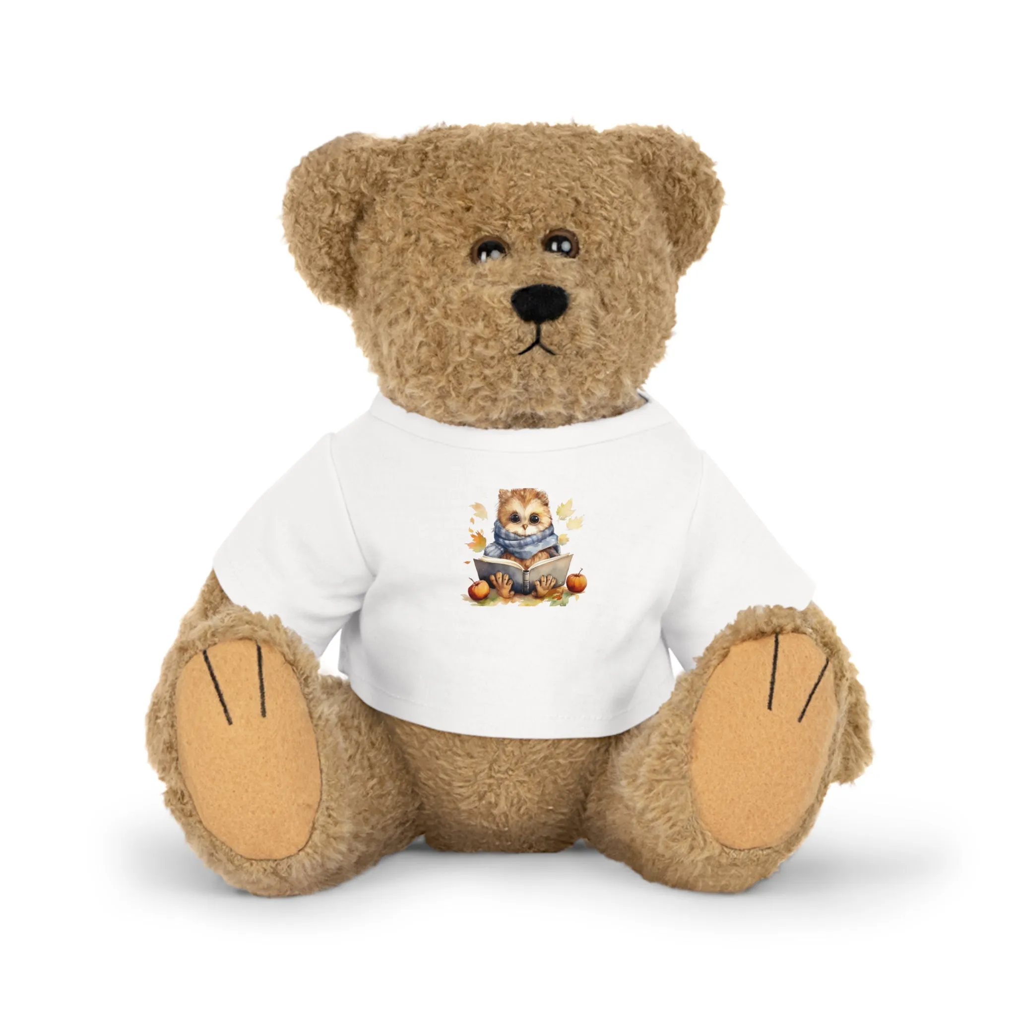 Book Reading Owl Teddy Bear with T-Shirt