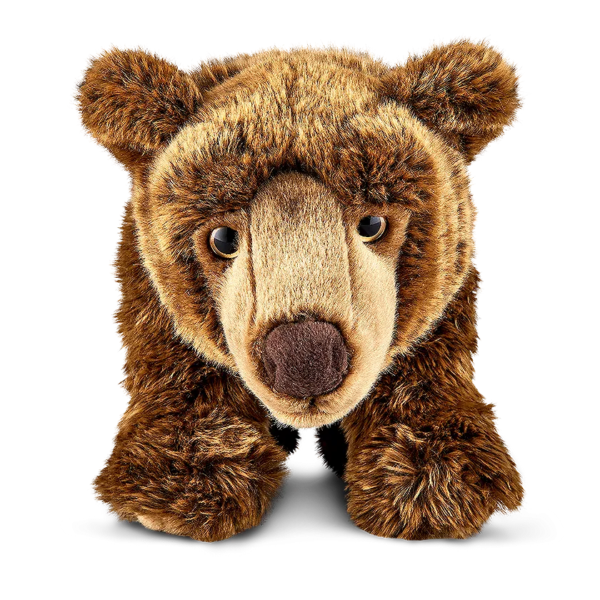 Brown Bear