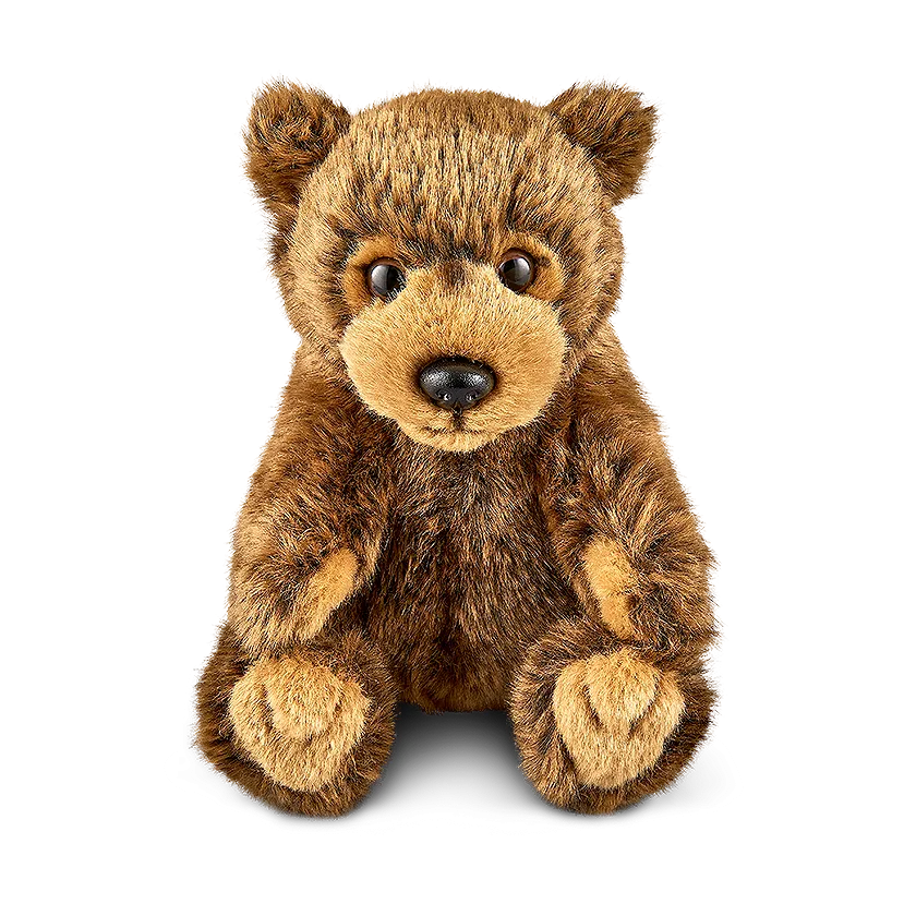 Brown Bear