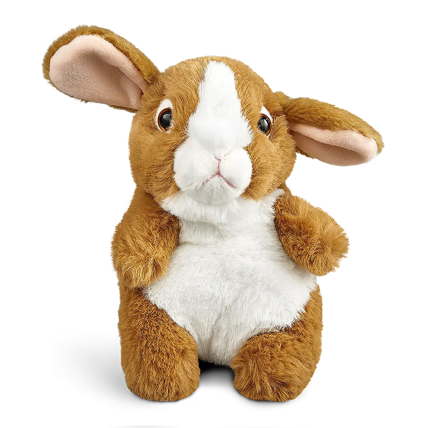 Brown Bunny Baby