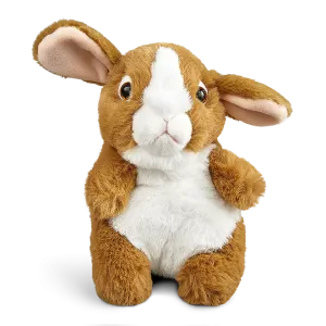 Brown Bunny Baby