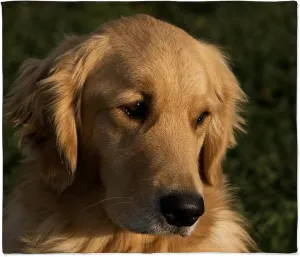 CafePress (12 Golden Retriever Head Shot Throw Blanket Super Soft Fleece Plush Throw Blanket, 60"x50"