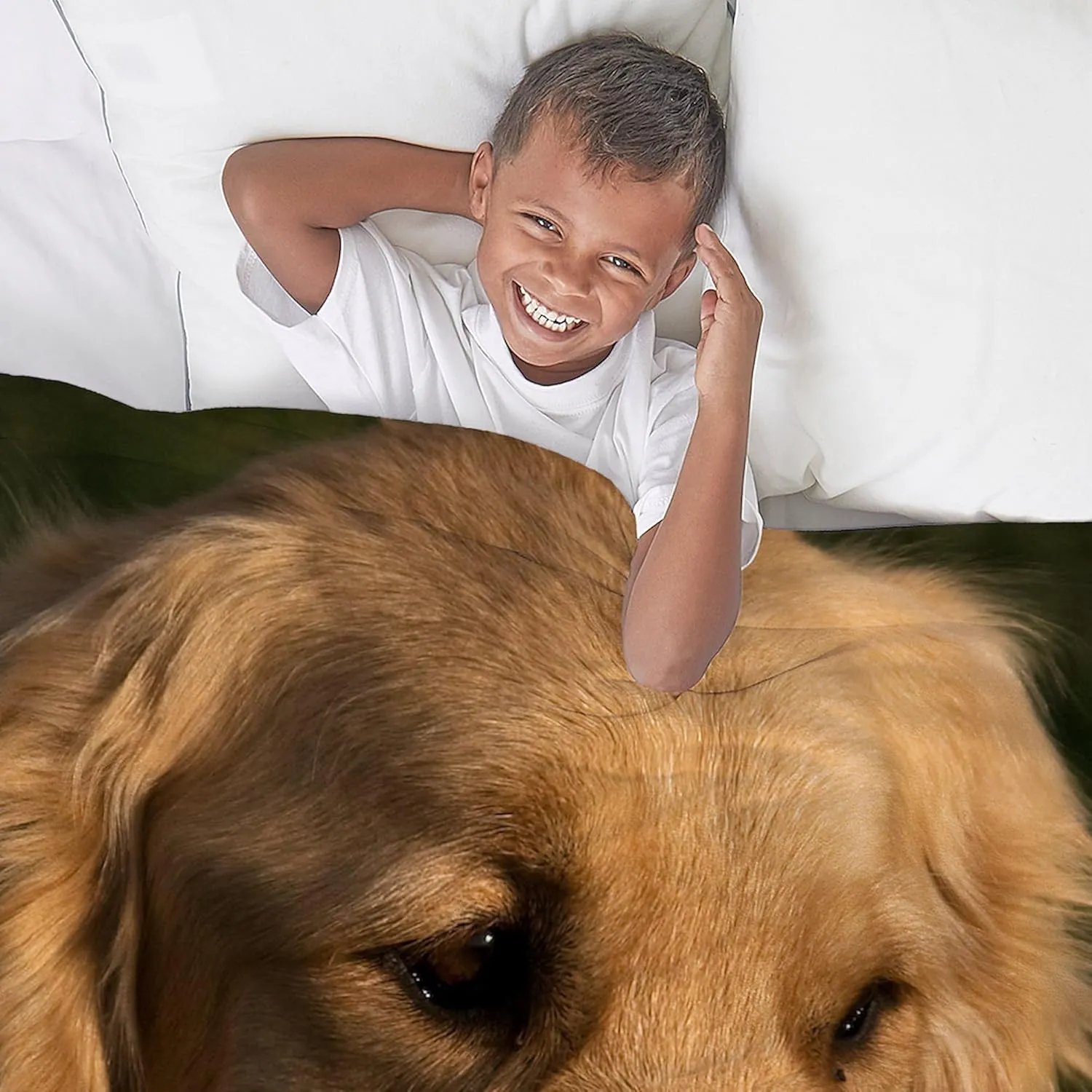 CafePress (12 Golden Retriever Head Shot Throw Blanket Super Soft Fleece Plush Throw Blanket, 60"x50"