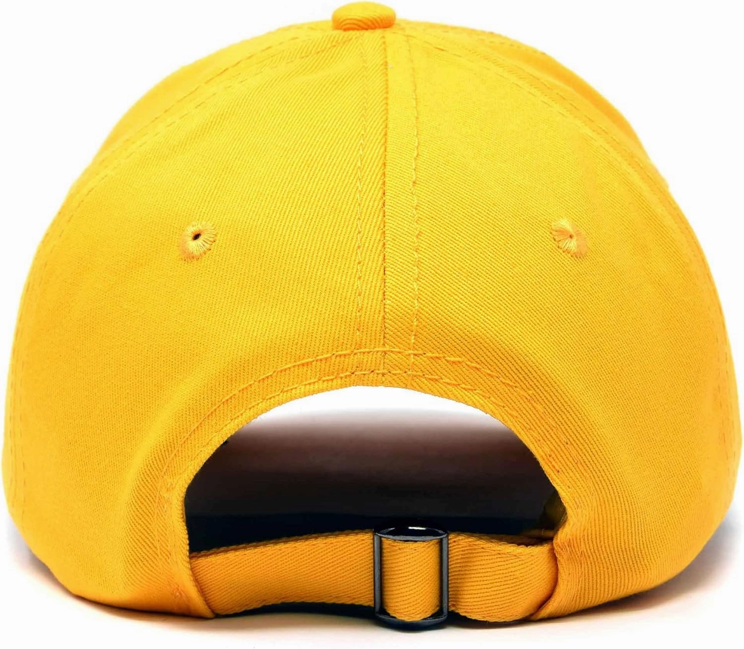 DALIX Alpha Epsilon Pi Fraternity Greek Letters Ball Cap Embroidered Hat