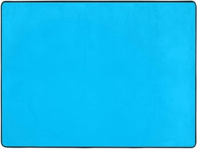 EkcoS Solid Color Light Blue Large Area Rugs for Living Room, Super Soft Fluffy Modern Bedroom Rug,Soft Plush Furry Bedside Rug,(63x48in)