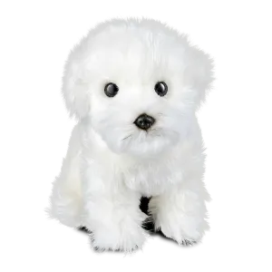 Giant Maltese Puppy