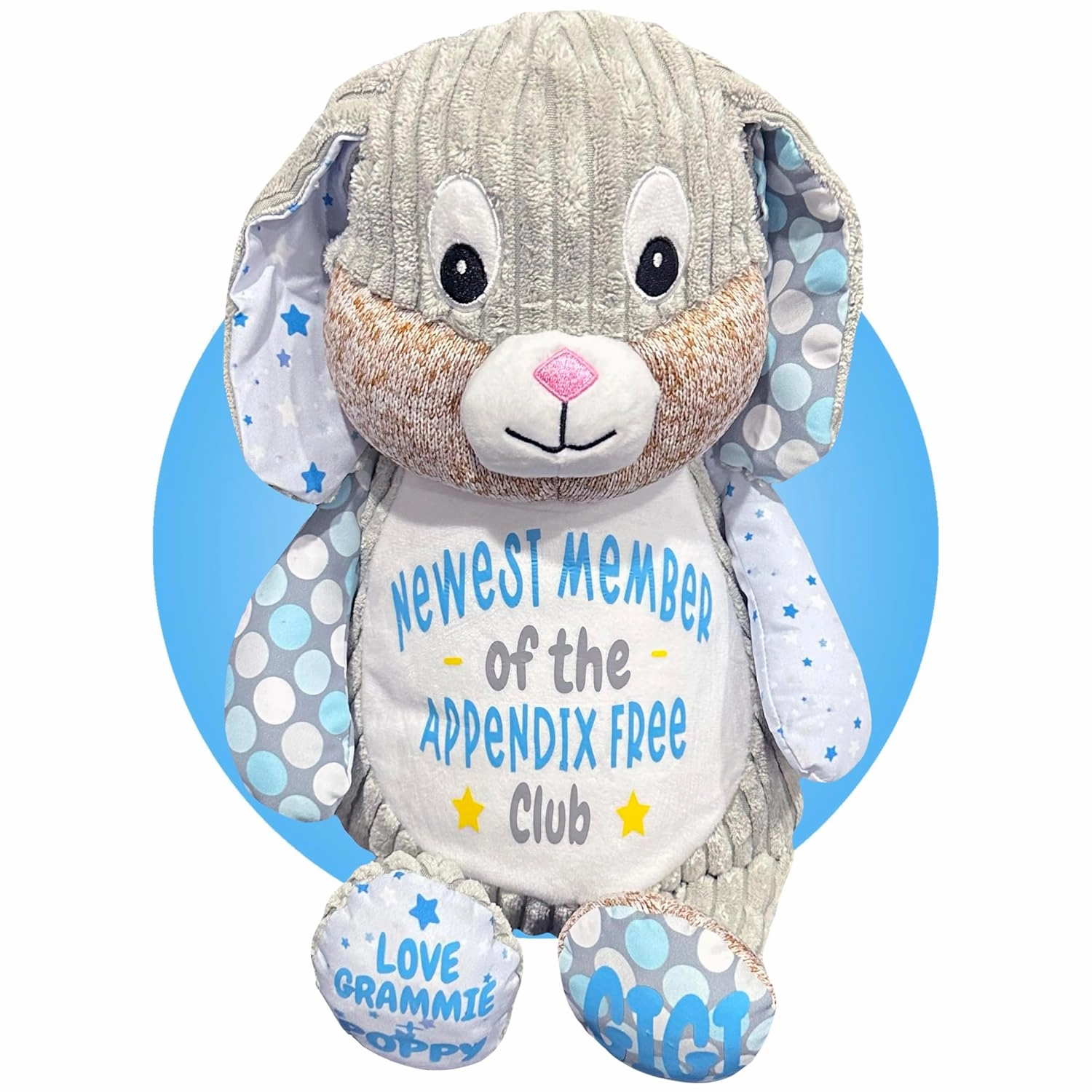 Gift for Getting Appendix Out - Personalized Appendix Plush Bunny - Appendix Surgery Recovery Gifts - Appendectomy Recovery Gifts for Kids - Appendix Removal Get Well Soon Gifts by Kikilishop