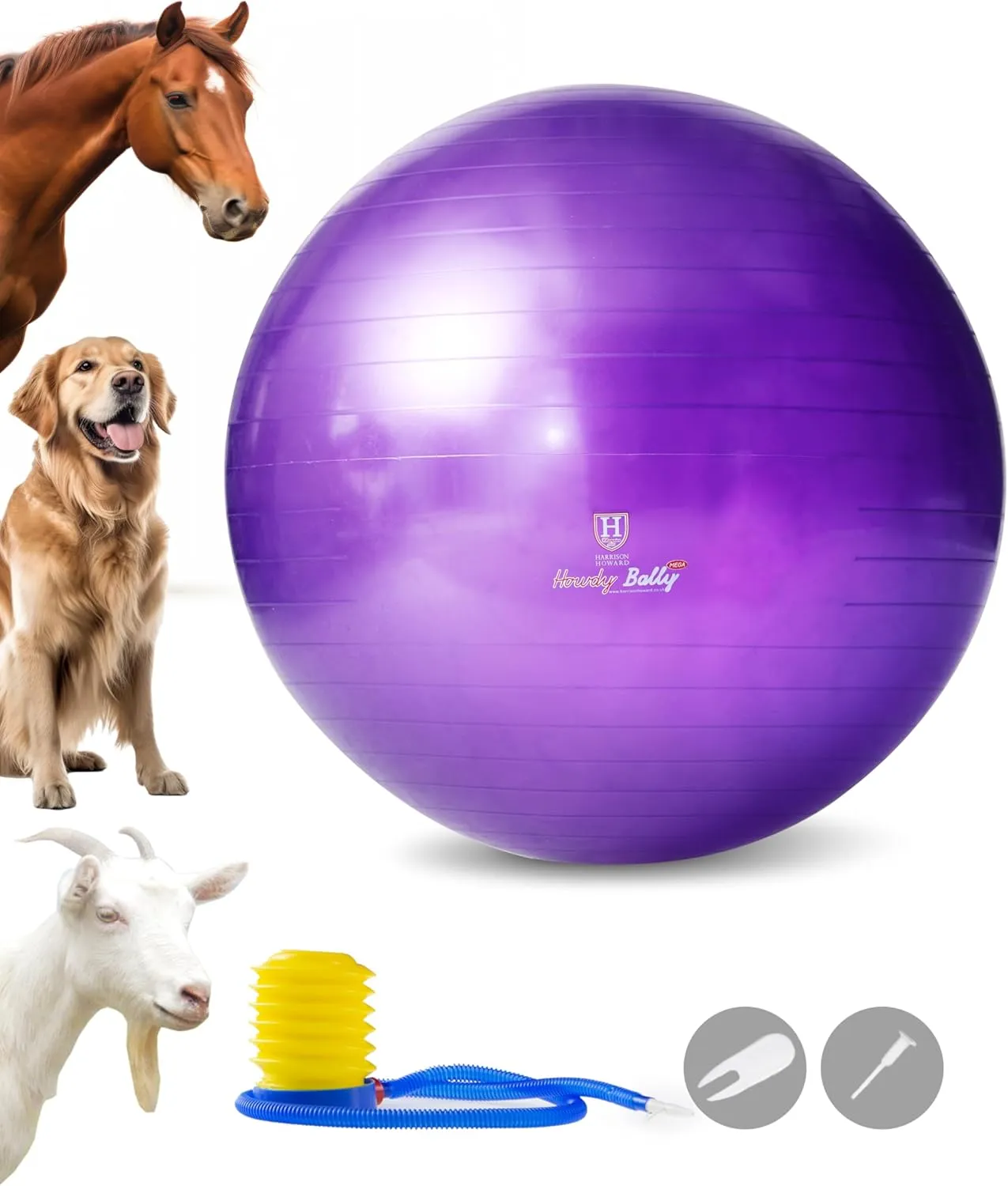 Harrison Howard Howdy Bally Mega Horse Play Ball Anti-Burst Giant Horse Ball Horse Soccer Ball Herding Ball Giant Play Ball for Horses 25 Inch-Royal Purple