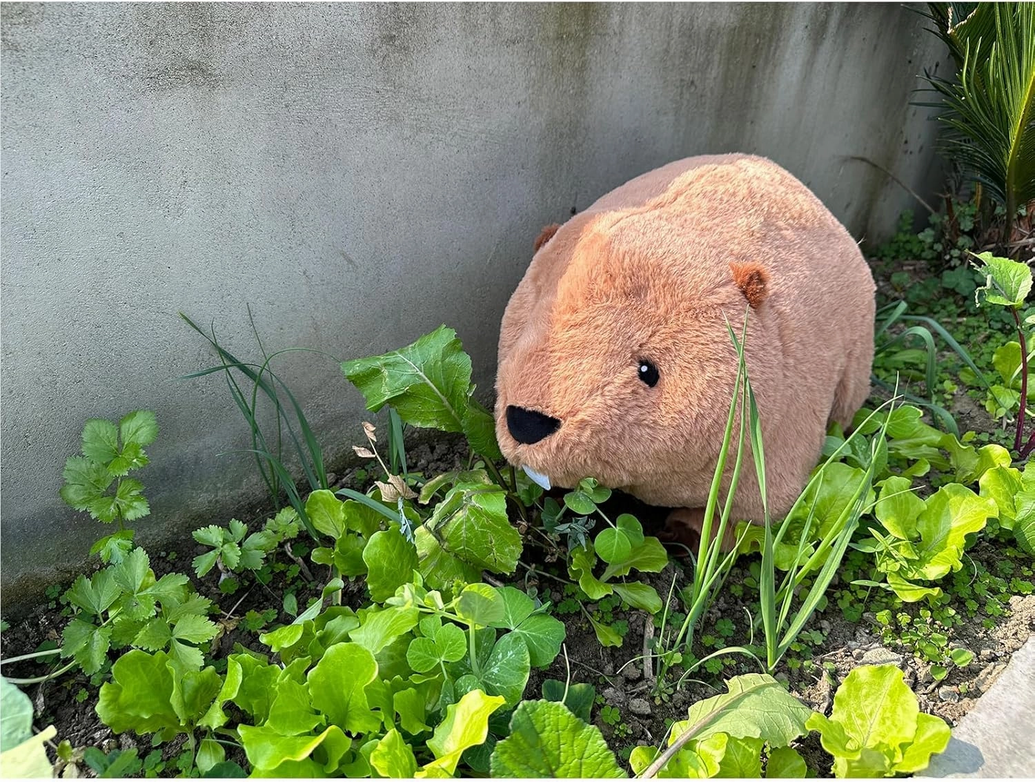 Hofun4U Beaver Plush Pillow with Big Front Teeth, Beaver Stuffed Animal, for Kids Adults (Brown 17.3 inch)