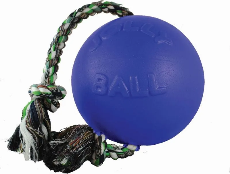 Jolly Pets Romp-N-Roll Ball