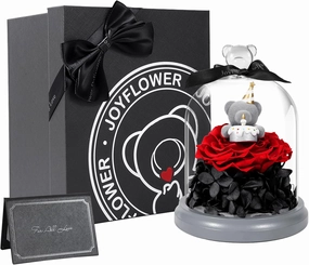 JoyFlower Preserved Flower Birthday Gift for Women, Red Preserved Rose Bear Birthday Gifts for Girlfriend, Eternal Flower Teddy Bear Gifts for Wife Mom Her Grandma Men Daughter Son Sister on Birthday