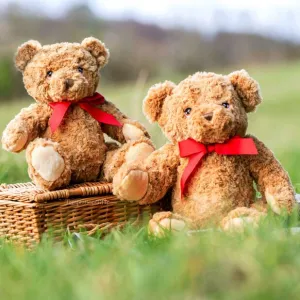 Keeleco Teddy 30cm
