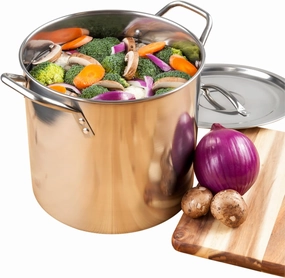 Medium Stainless Steel Prep N Cook Stockpot, 20 Quart, Silver