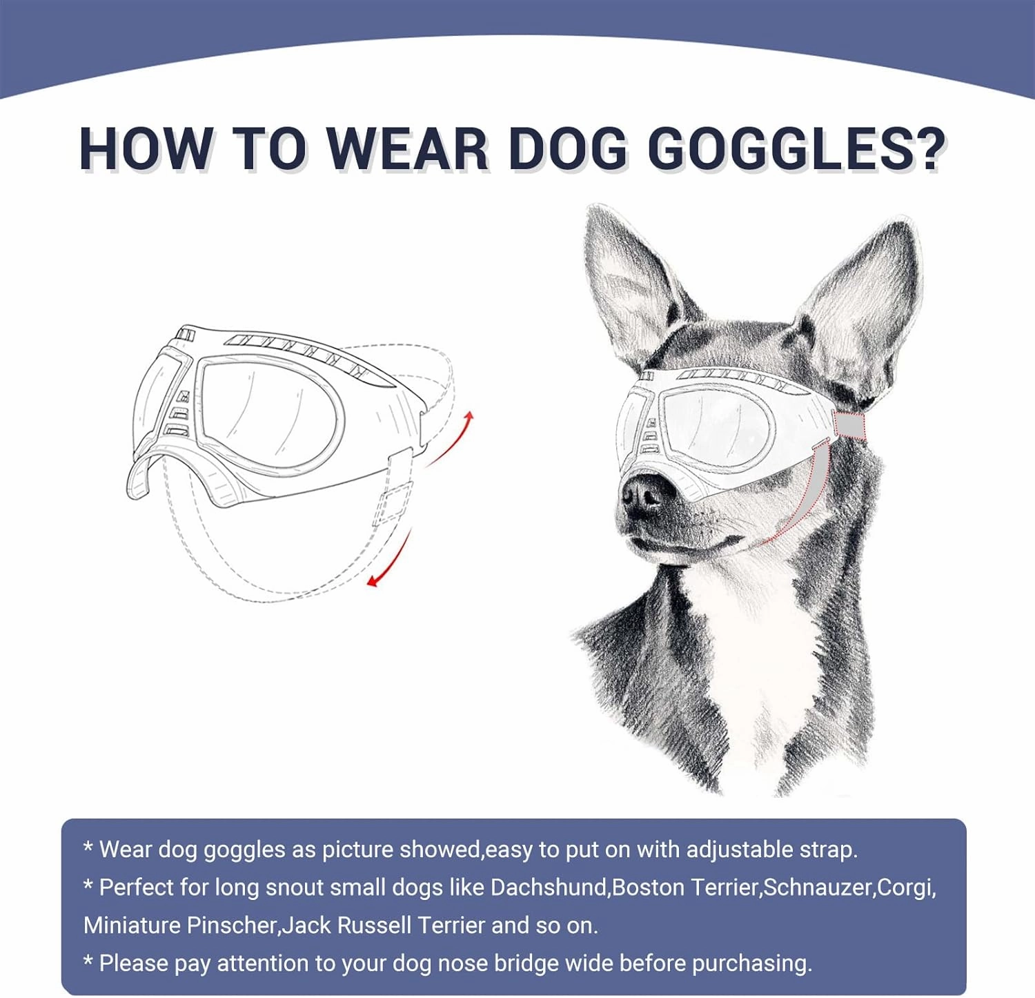 PETLESO Medium Breed Dog Goggles, Sunglasses with UV Protection for Driving & Hiking, Blue Lens