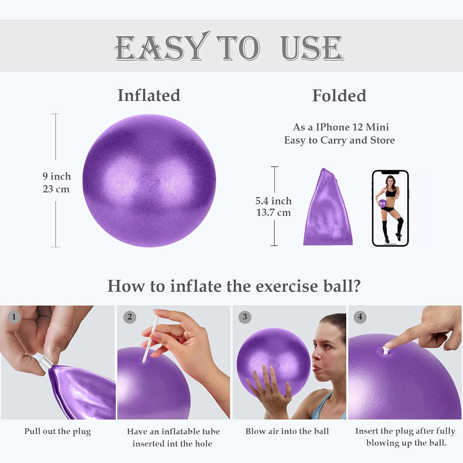 PL-SEB-010 SEB-Purple&Blue-4 9 Inch Small Pilates Ball for Therapy Mini Workout Core Small Exercise