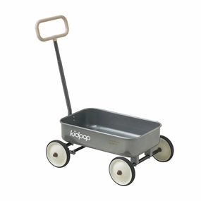PULA-Wild 2-in-1 Kids' Pull-Along Wagon Toddlers Push Walker for 2.5-8 Adjustable Handlebar, Birthday Gifts Max Weight 33 lbs (Grey)