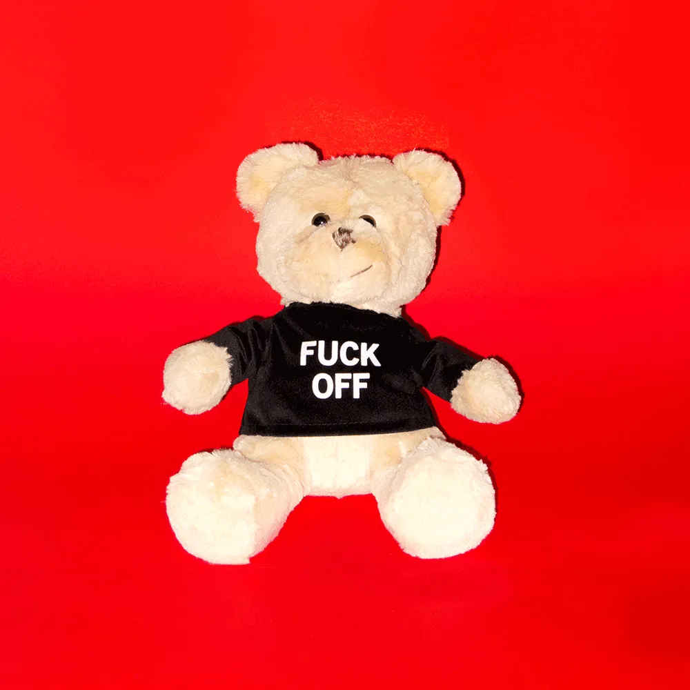 "Friendly" Teddy Bear