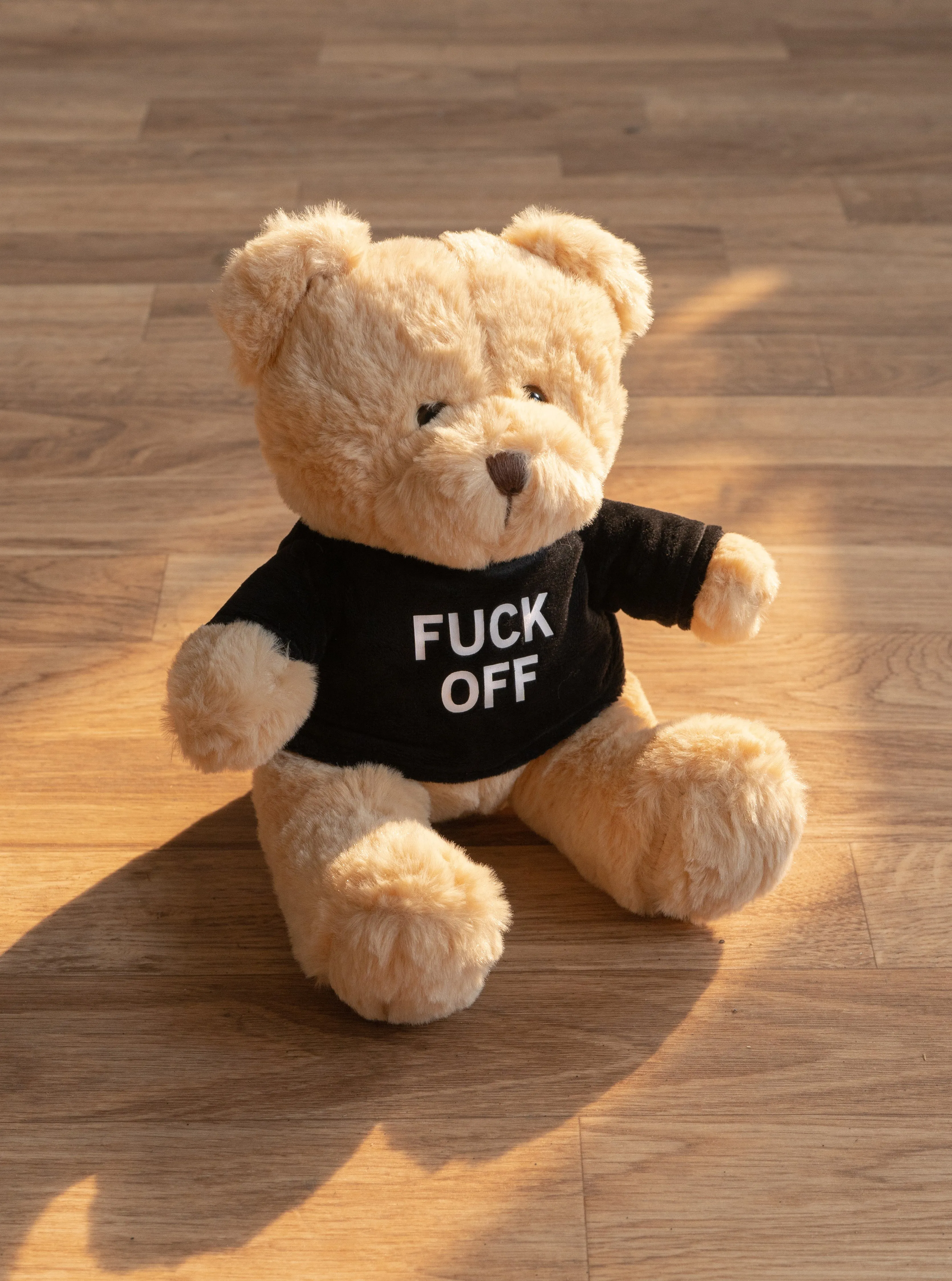 "Friendly" Teddy Bear