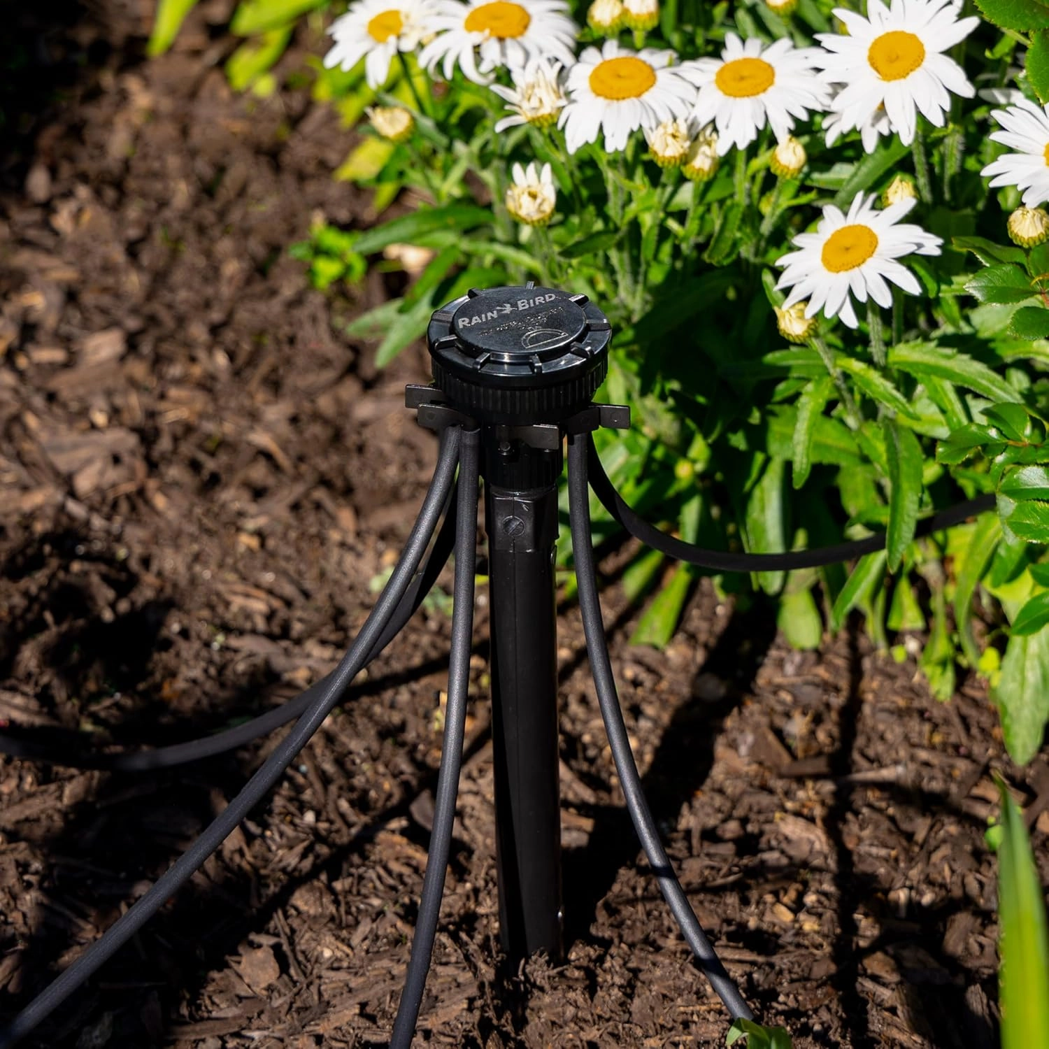 Rain Bird MANIFPRPS2 Drip Irrigation 9-Port Manifold, 25 PSI Pressure Regulating, Adjustable Flow and ON/OFF