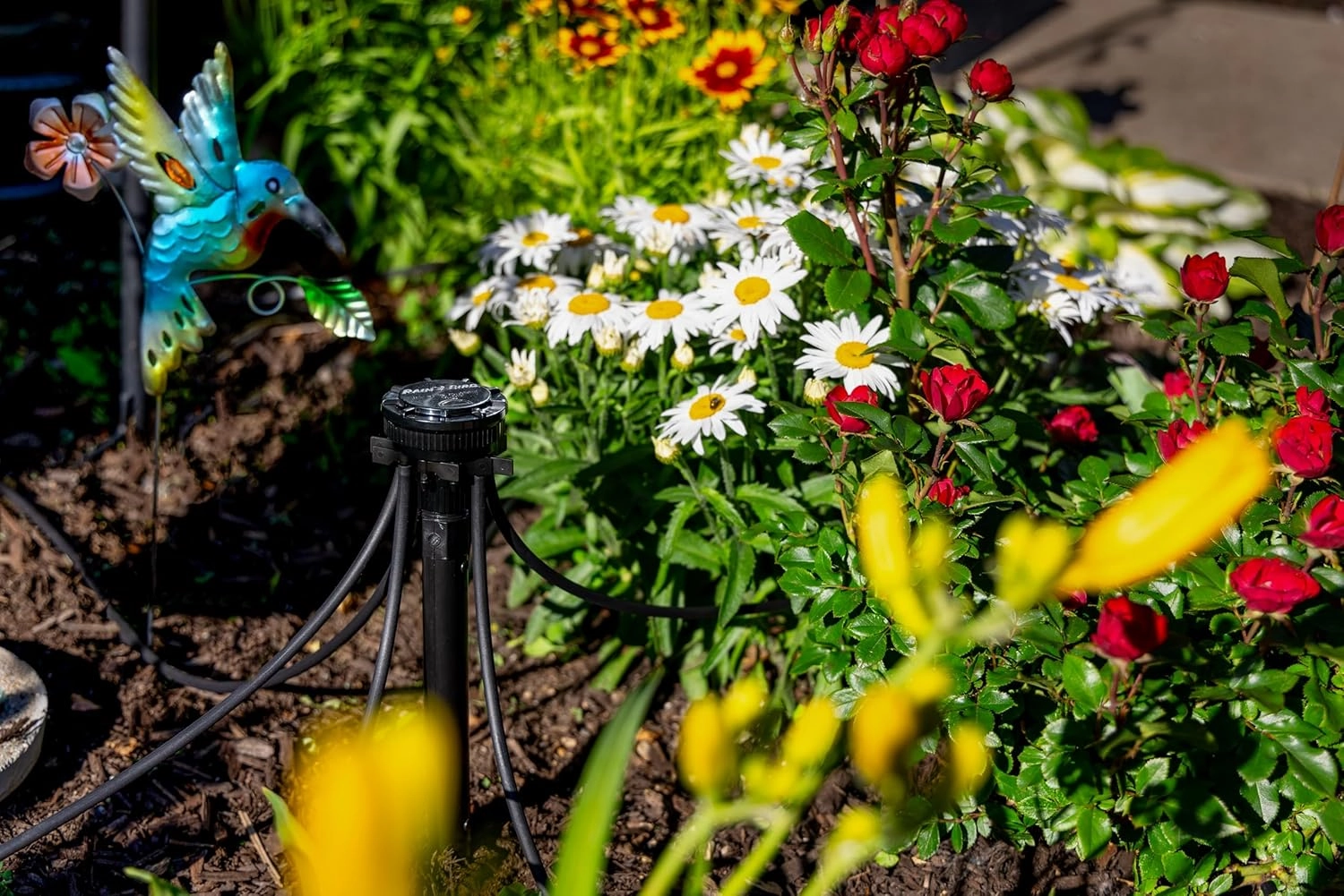 Rain Bird MANIFPRPS2 Drip Irrigation 9-Port Manifold, 25 PSI Pressure Regulating, Adjustable Flow and ON/OFF
