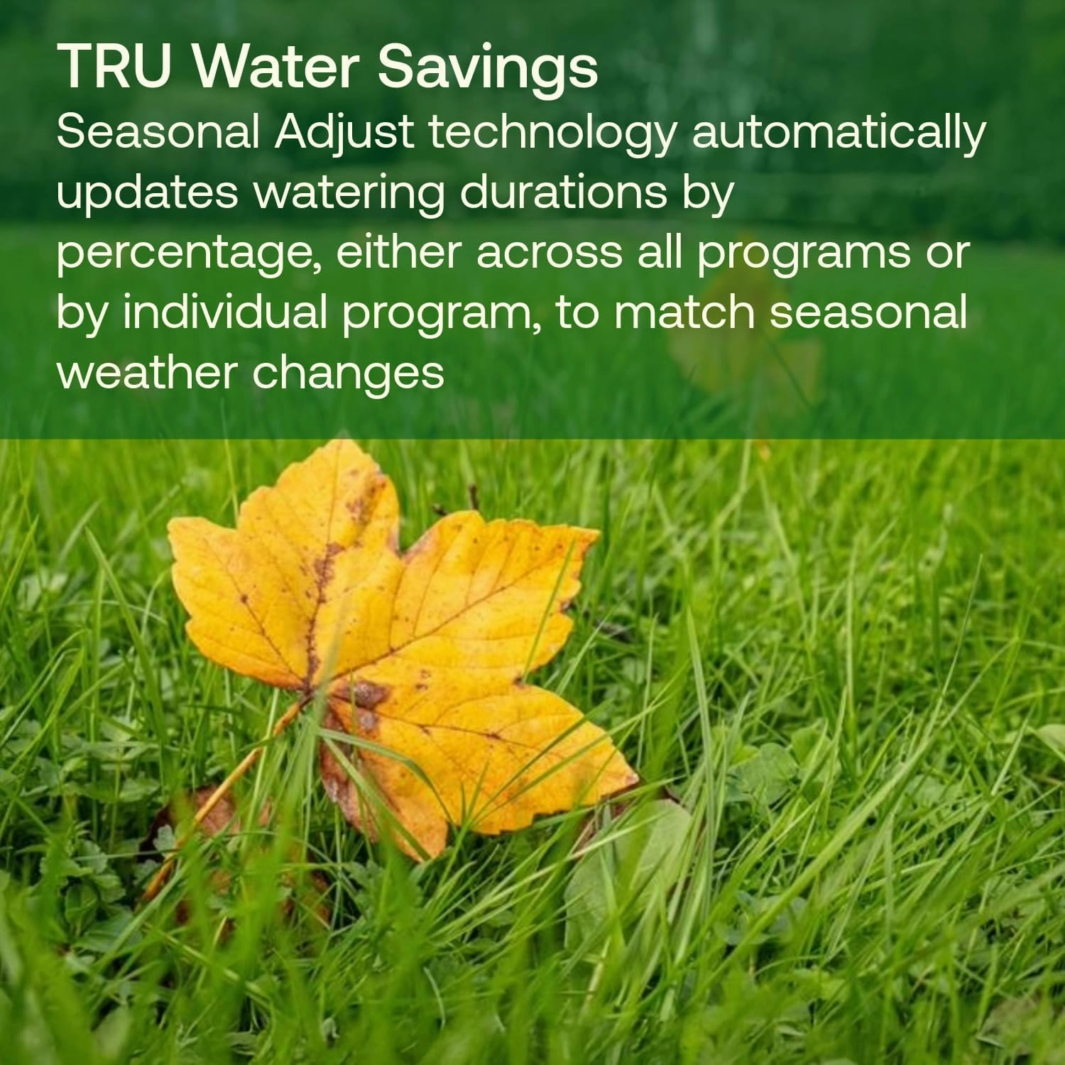 Rain Bird TRU6I Program-Based Indoor Irrigation Sprinkler Controller/Timer, WiFi Ready, 6-Zone/Station