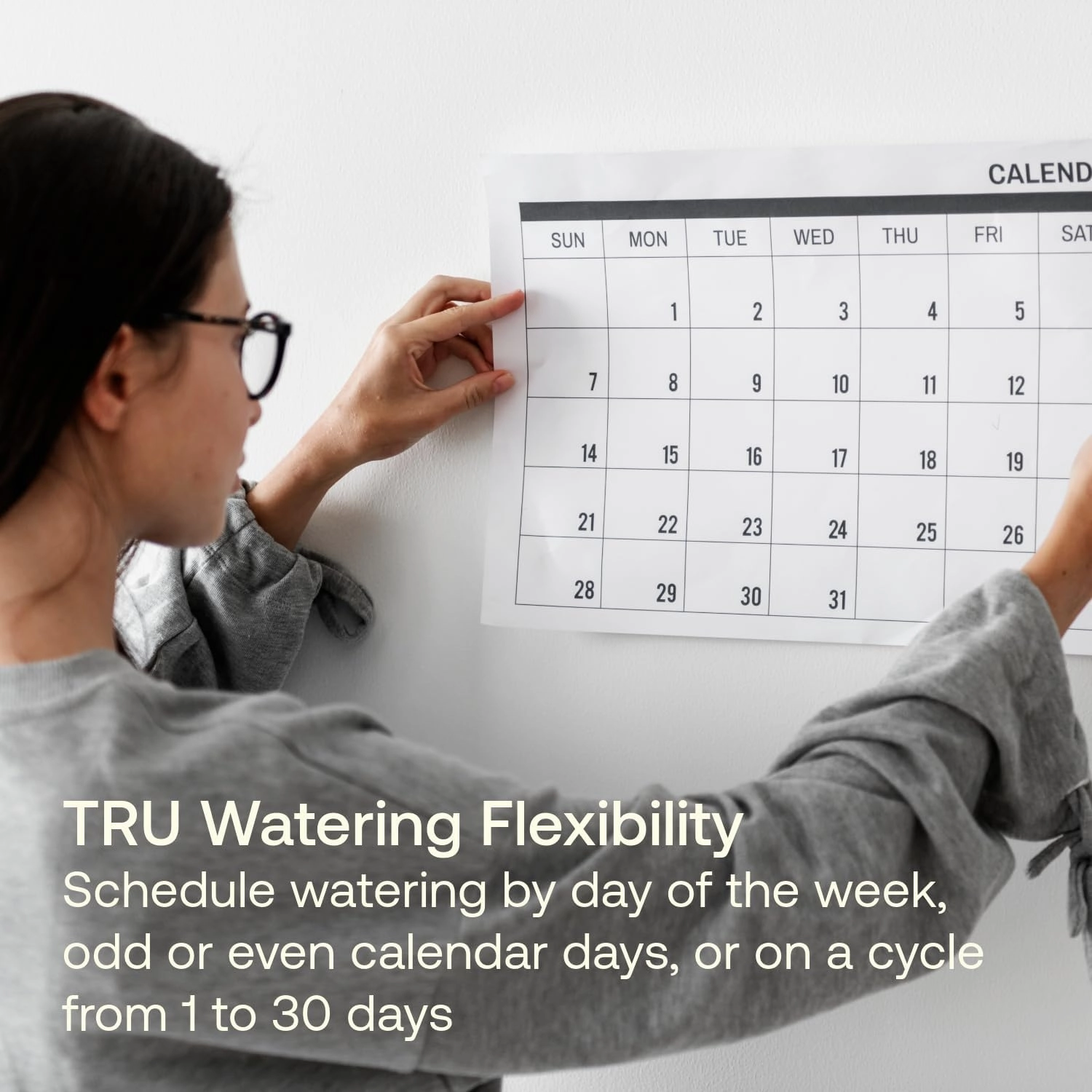 Rain Bird TRU6I Program-Based Indoor Irrigation Sprinkler Controller/Timer, WiFi Ready, 6-Zone/Station