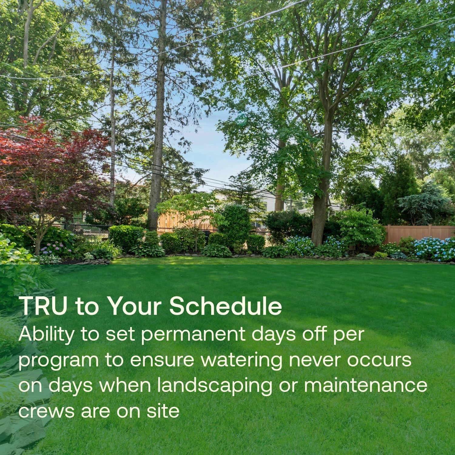 Rain Bird TRU6I Program-Based Indoor Irrigation Sprinkler Controller/Timer, WiFi Ready, 6-Zone/Station