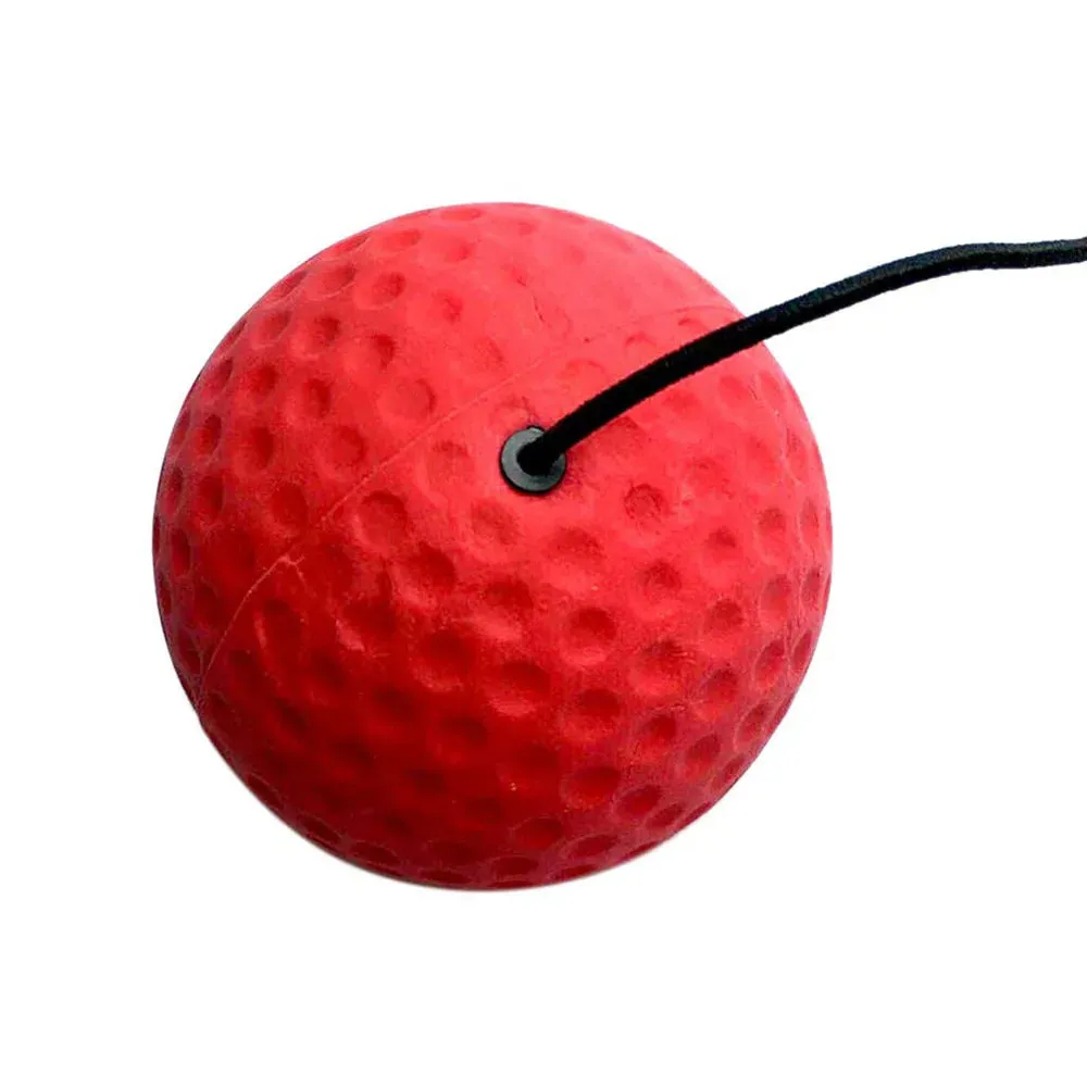 Reflex Pro Boxing Magic Ball Training Set