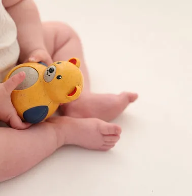 Roly Poly Teddy Bear, Bio Range