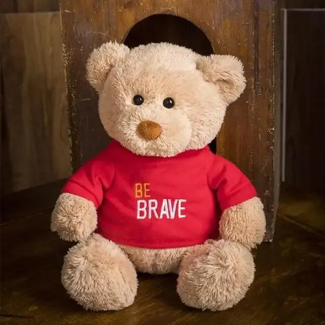 Soft And Cute Teddy Bear Stuffed Animals Plush Toy I Love You Teddy Bear with Removable T-Shirt Gift for Kids, 11"