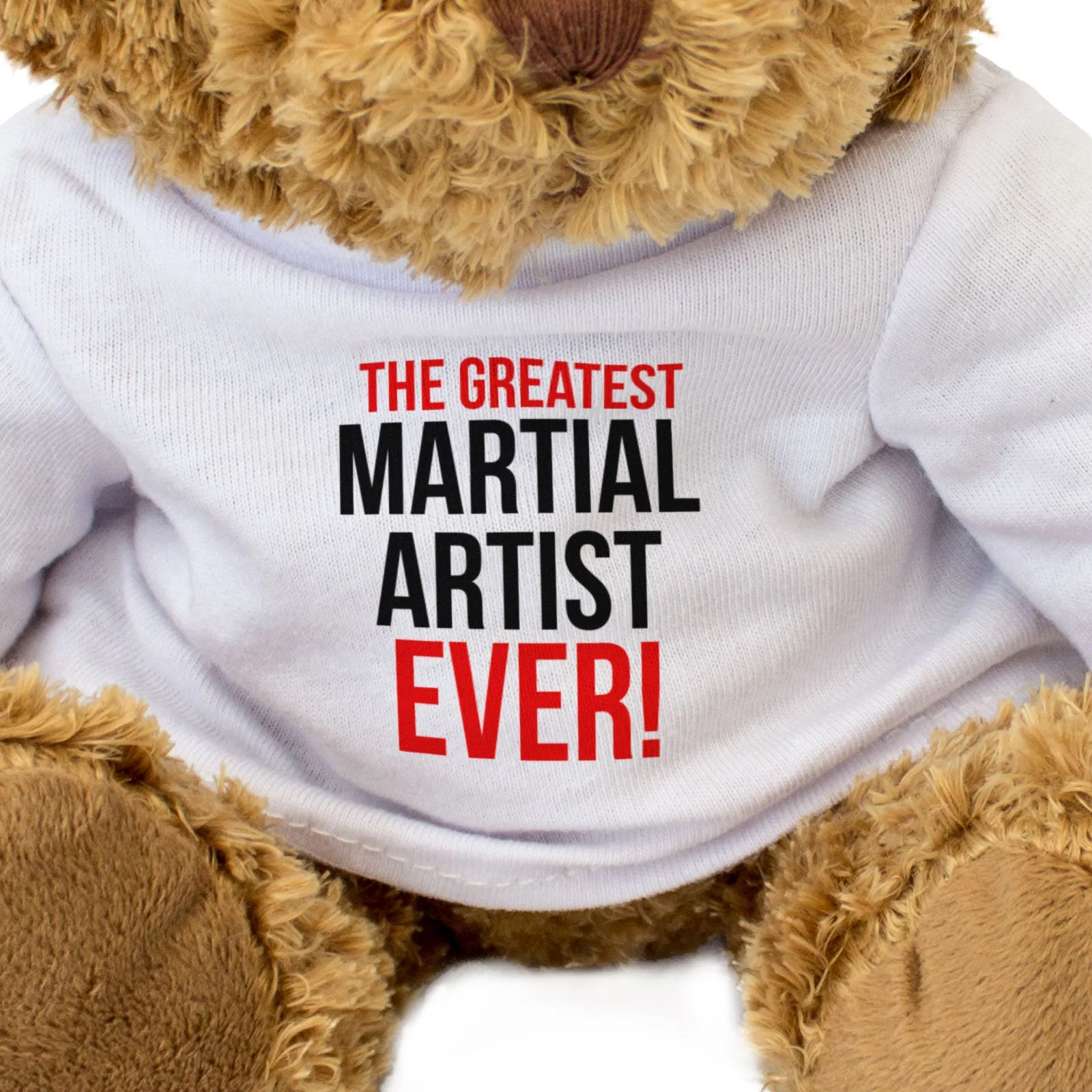 THE GREATEST MARTIAL ARTIST EVER - Teddy Bear - Cute Cuddly - Gift Present
