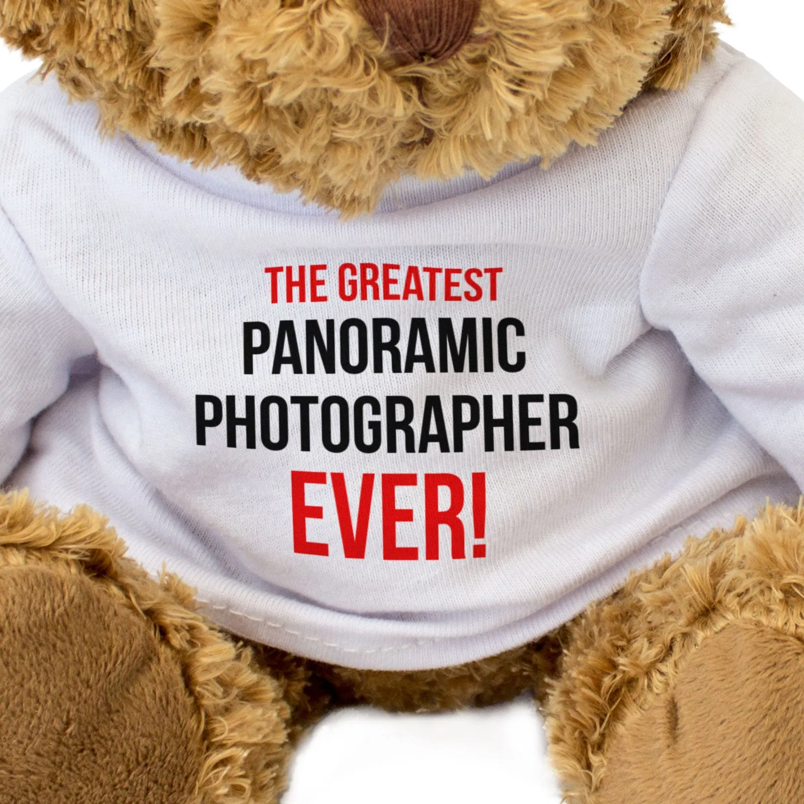 THE GREATEST PANORAMIC PHOTOGRAPHER EVER - Teddy Bear - Cute - Gift Present