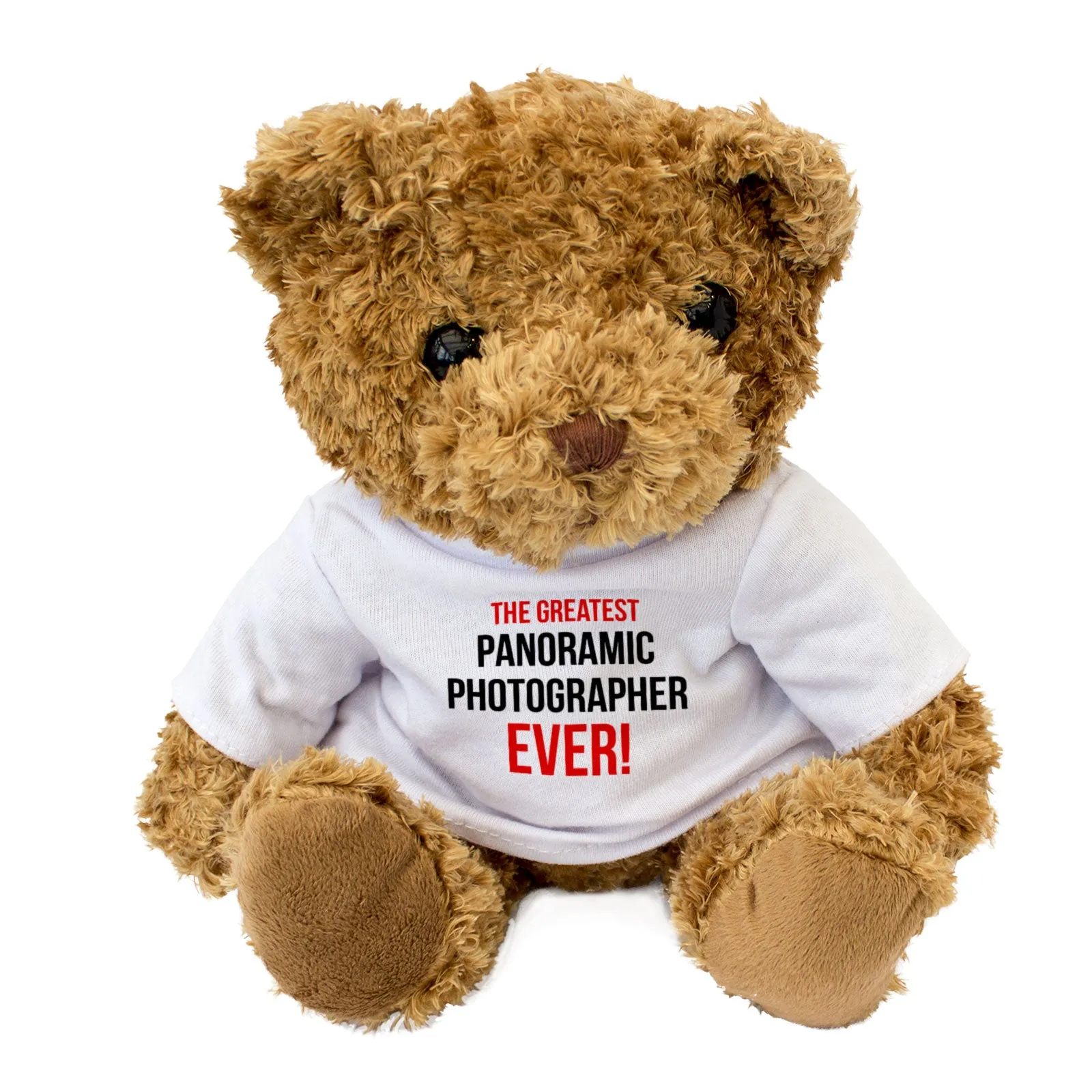 THE GREATEST PANORAMIC PHOTOGRAPHER EVER - Teddy Bear - Cute - Gift Present